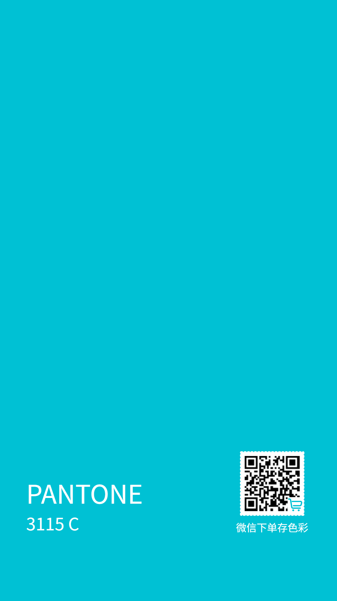 PANTONE 3115 C_1762429651732.png